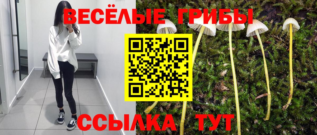 Псилоцибиновые грибы Magic Shrooms Зерноград