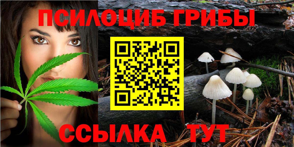 Зерноград  Псилоцибиновые грибы прущие грибы  Вход с VPN 